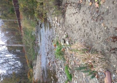 Yellow Creek Before