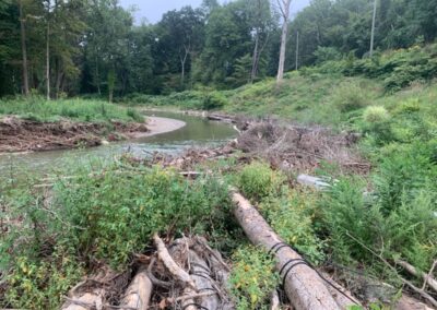 Yellow Creek After One Year
